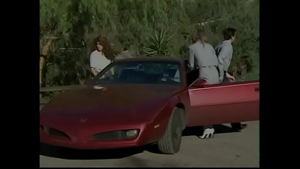 Playful brunette houseife Tera Heart became very horny when she and her husband vere viewing suburban house with all the modern amenities