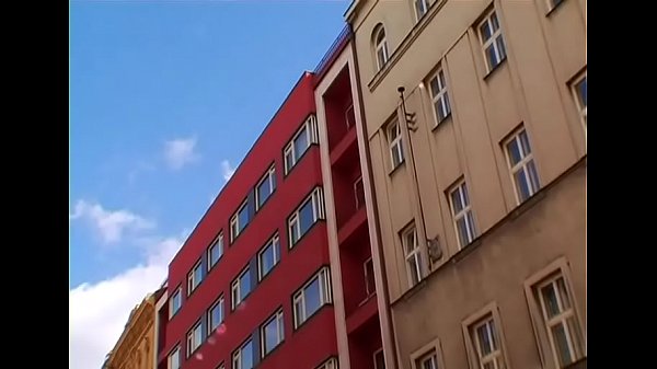 Top lesbo se met en désordre dans un film de combat de chats amateurs