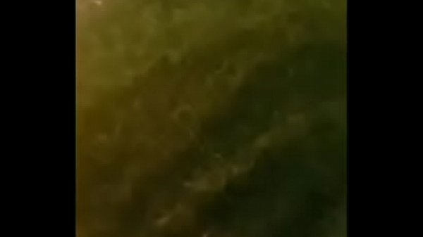 Tất cả đầu biên soạn của vợ