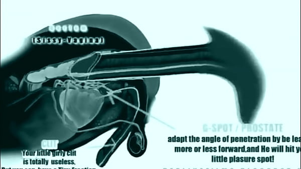 Ladyboy made to love #2 rus