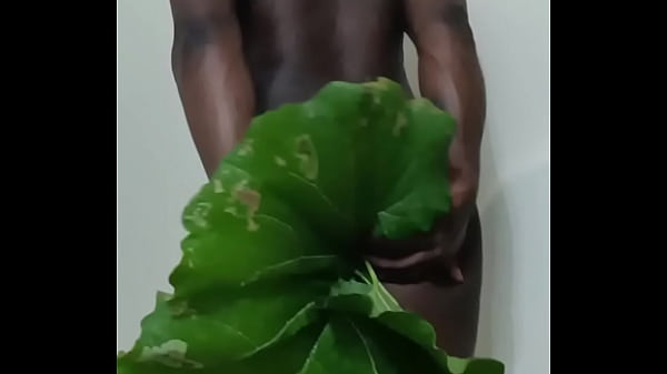 Similar to the human flower arse vase, the human green leaf arse vase 5