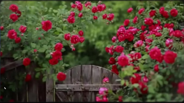 बांग्ला सेक्स स्टोरी | प्रेरक कहानी | नई भावनात्मक कहानी | बांग्ला रोमांटिक सेक्स स्टोरी पार्ट 2