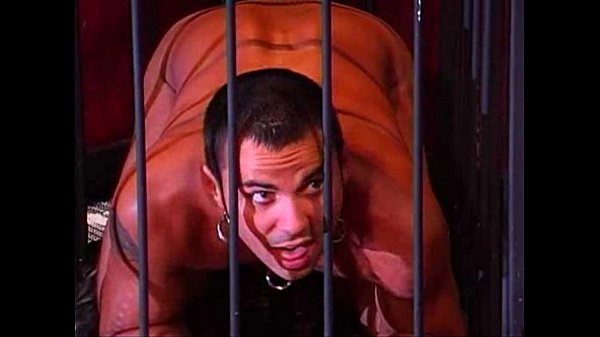 Doggy Boy se fait apprivoiser et jeter dans sa cage par la maîtresse - Vidéos porno gratuites, films sexuels - Domin